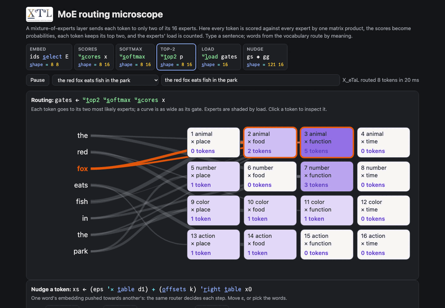 MoE routing microscope